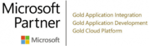 Logo Microsoft Partner